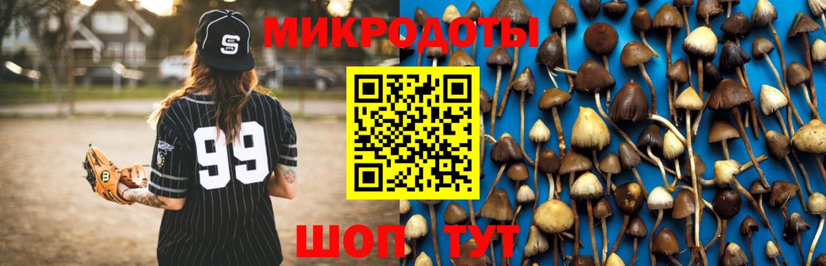 Псилоцибиновые грибы мухоморы  Псилоцибиновые грибы Psilocybe  Вход с VPN  Вязьма 