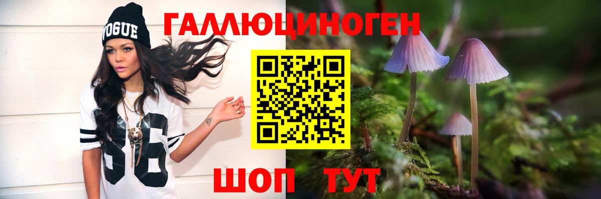 Псилоцибиновые грибы Psilocybine cubensis Вязьма