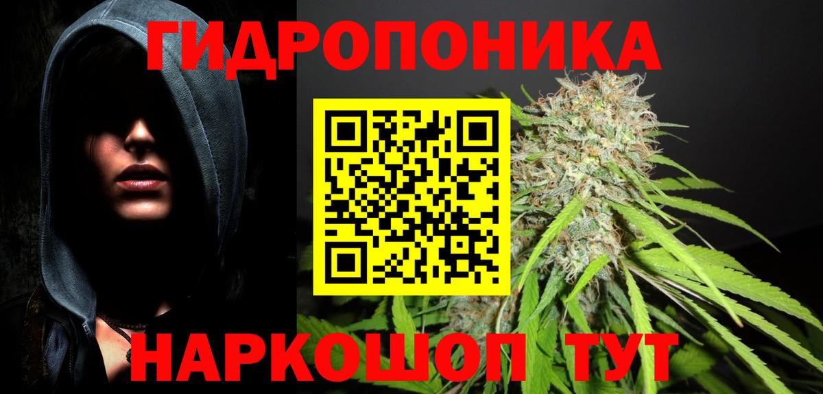 Канабис ГИДРОПОН Вязьма